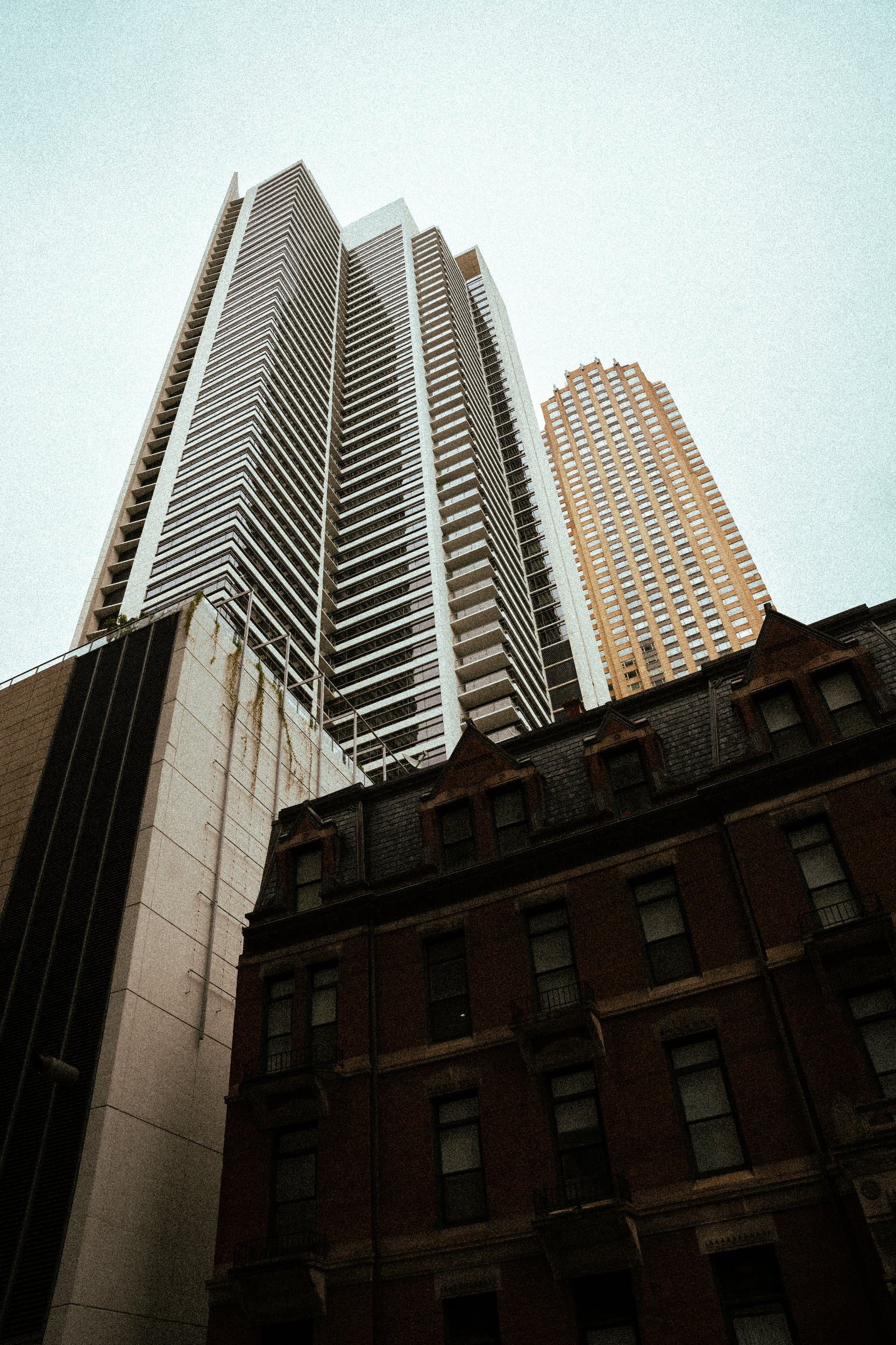 Portfolio image